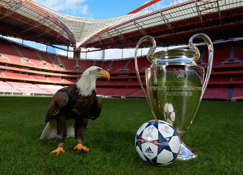 泰山队需要 泰山队需要