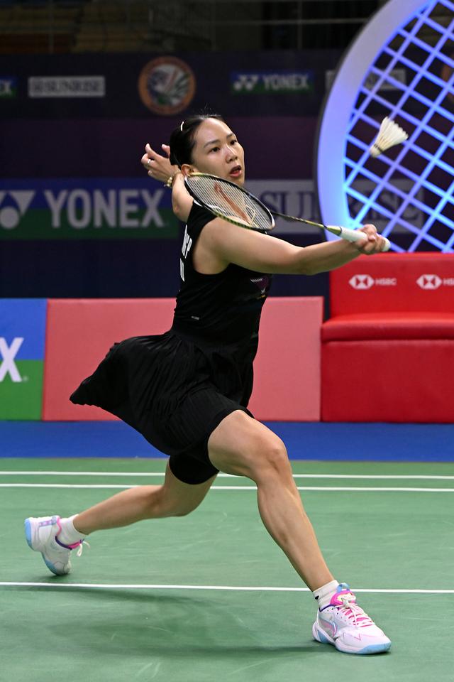 中享有极高 中享有极高