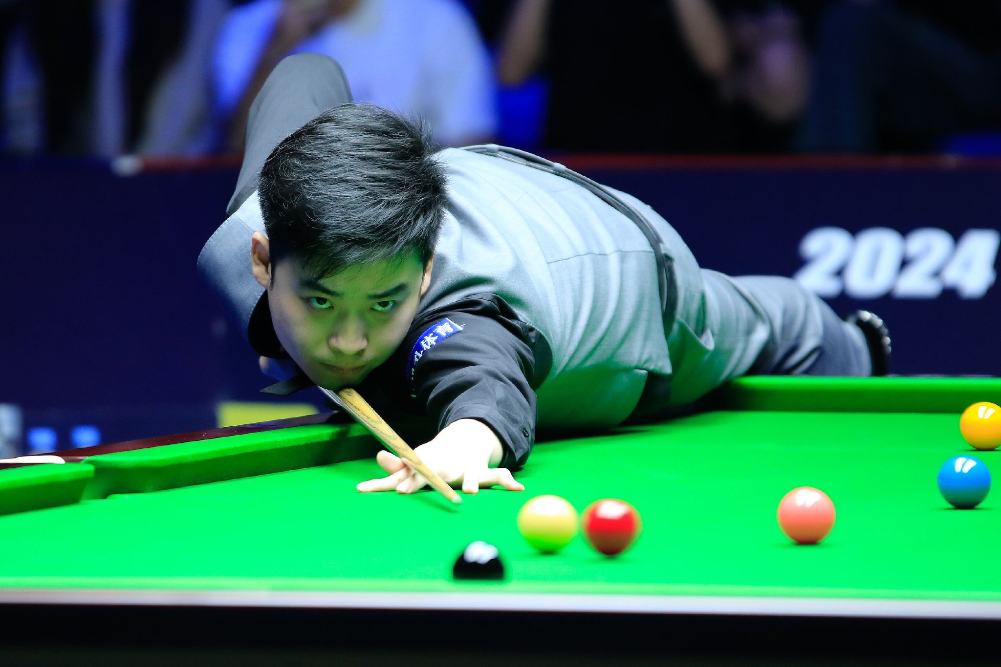 生态的长期 生态的长期