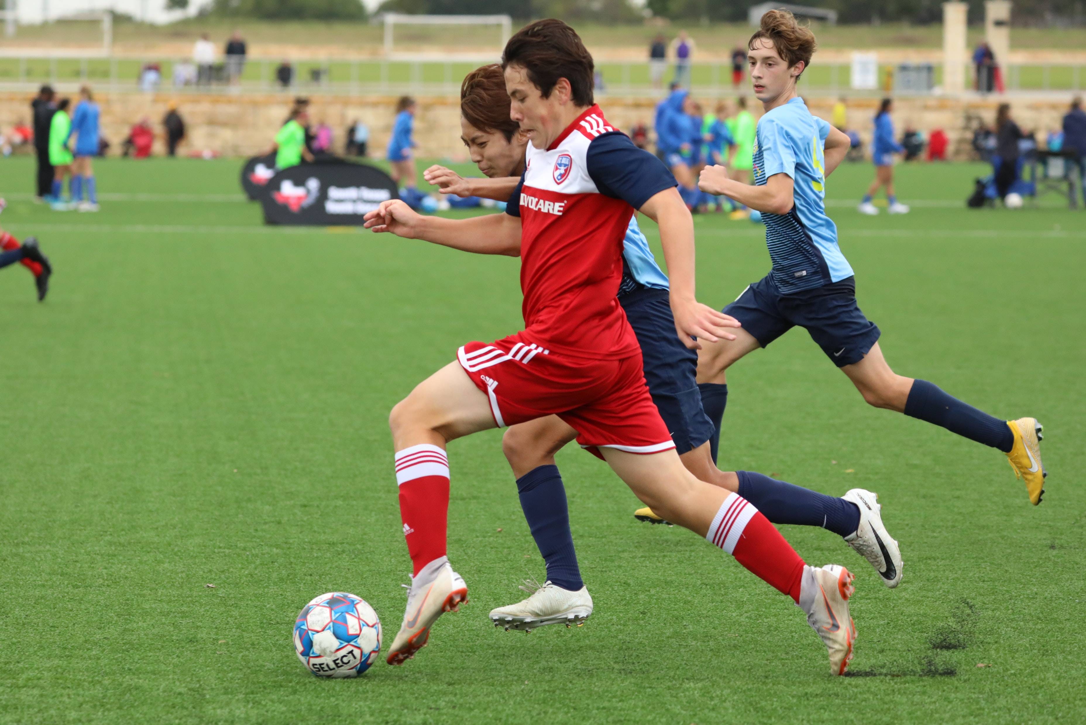 国王以小萨 国王以小萨